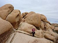 joshua tree national park (33).JPG